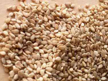 Manufacturers Exporters and Wholesale Suppliers of Till Seeds Raichur Karnataka